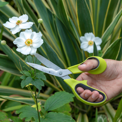 Burton & Burton Floral Ribbon Shears, Blue