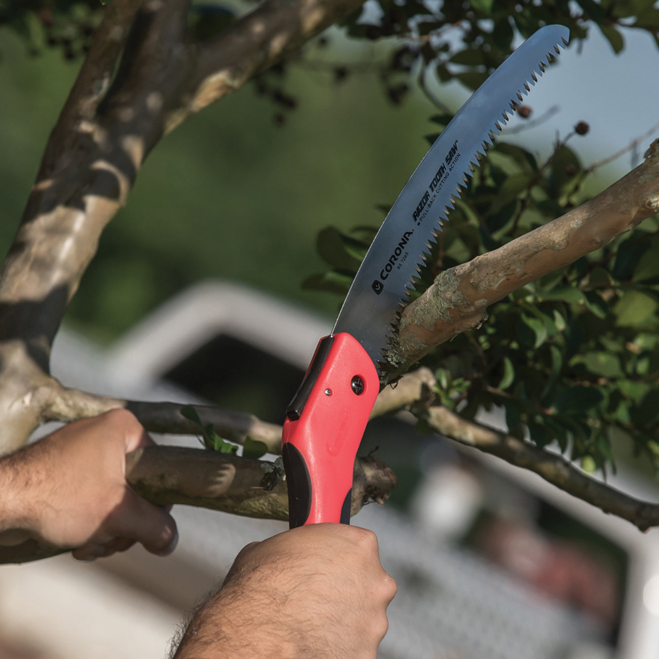 Corona Max RazorTOOTH 25.5cm Folding Pruning Saw | Burgon & Ball ...