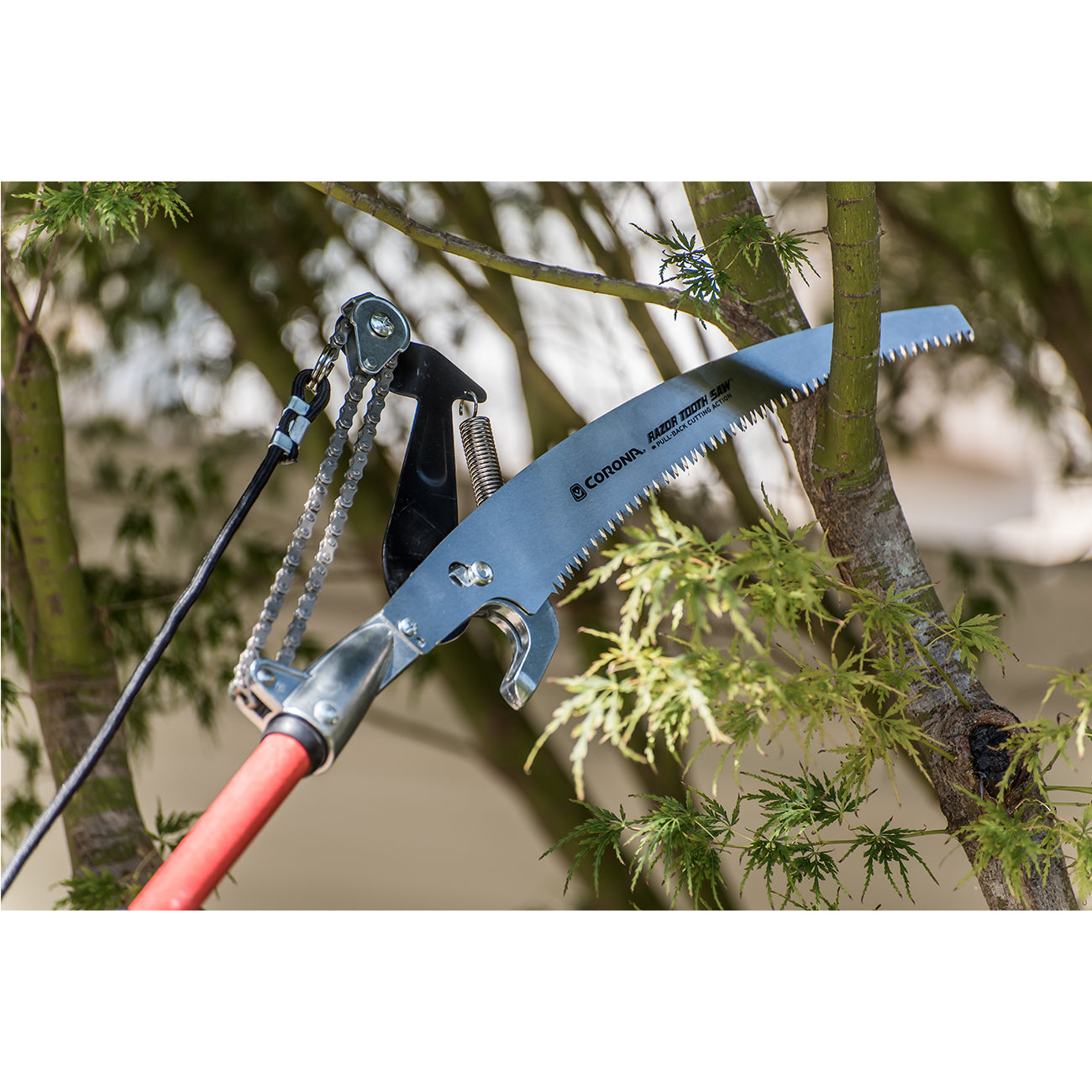 Corona Max Extendable Tree Saw and Pruner Burgon & Ball Burgon and Ball